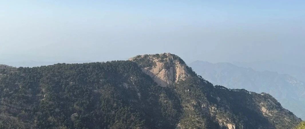 四月同行 · 山東五日小記
